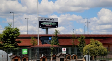 Can dostların Sakarya’da devasa bir şifa yuvası var