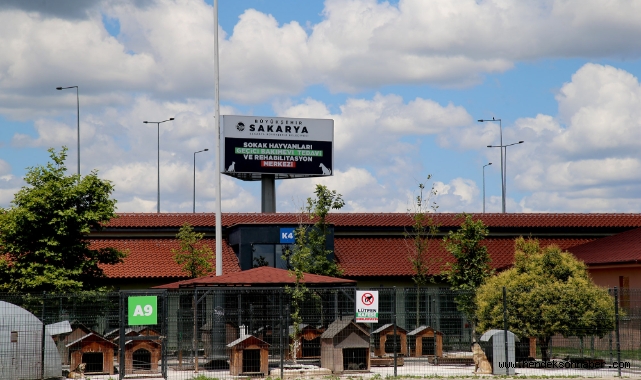Can dostların Sakarya’da devasa bir şifa yuvası var