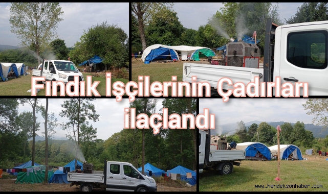 Fındık işçilerinin çadırları ilaçlandı 