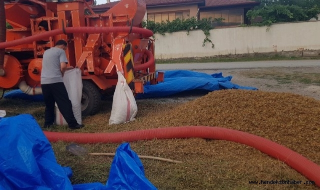 Hendek'te Patoz Fiyatları Tavan Yaptı
