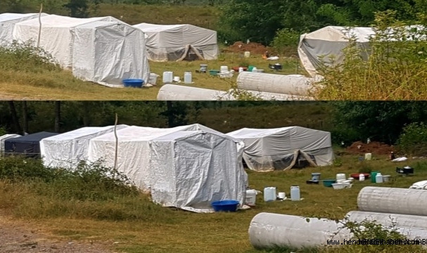 Maliyetler Arttı Birçok Mevsimlik Tarım İşçisi Gelmekten Vazgeçti 