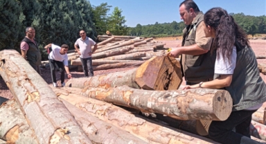 Sakarya Orman  Bölge Müdürü Terzi Hendek Kurtköy Orman Deposunda İncelemelerde Bulundu
