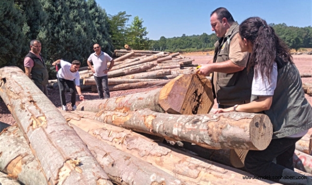 Sakarya Orman  Bölge Müdürü Terzi Hendek Kurtköy Orman Deposunda İncelemelerde Bulundu