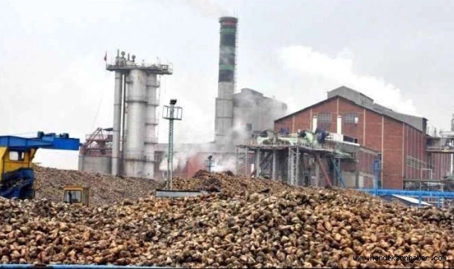 Şeker-İş'ten şeker kotası açıklaması!