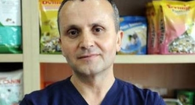 Sıcak Havalarda Evcil Hayvanlarımızı Nasıl Korumalıyız?