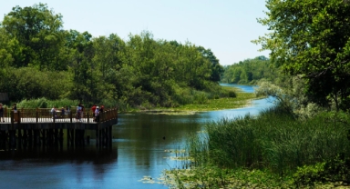 Doğa harikası Acarlar Longozu bu yaz turist akınına uğradı