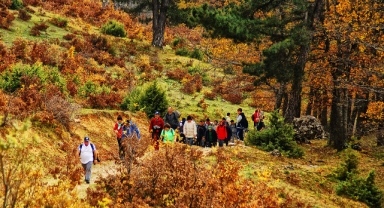 Doğaseverlere müjde! Sonbahar Doğa Yürüyüşleri başlıyor