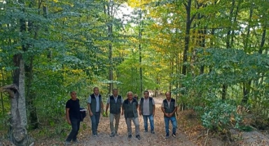 Hendek Orman İşletme Müdürlüğü Dikili Satış Sahalarını İnceledi