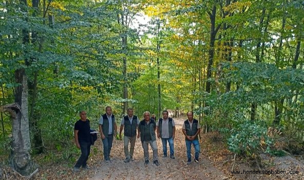 Hendek Orman İşletme Müdürlüğü Dikili Satış Sahalarını İnceledi
