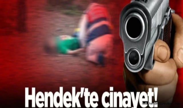 Hendek'te Cinayet!