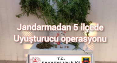 Jandarmadan 5 ilçede uyuşturucu operasyonu