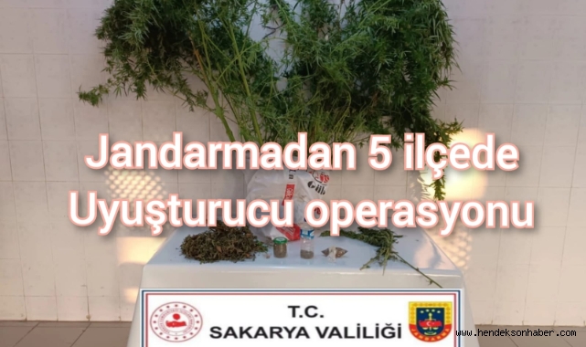 Jandarmadan 5 ilçede uyuşturucu operasyonu