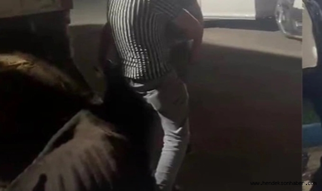 Akyazı’da İneğe eziyet edenlere ceza yağdı