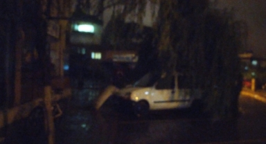 Hendek'te etkili olan fırtınada ağaç aracın üzerine devrildi