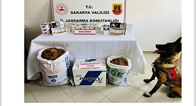 Hendek'te Jandarmadan kaçakçılık operasyonu: 2 gözaltı