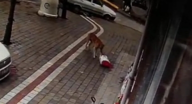 Hendek’te Soğuk Havada Gülümseten Haber