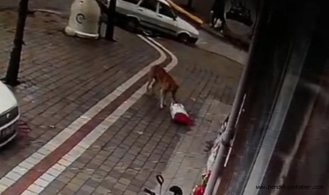 Hendek’te Soğuk Havada Gülümseten Haber