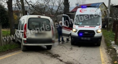 Hendek’te Panelvan Ağaca Çarptı 1 yaralı