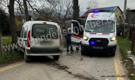 Hendek’te Panelvan Ağaca Çarptı  1 yaralı