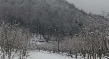 Hendek Bakacak Beyaz Örtüyle Kaplandı
