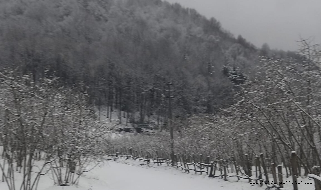 Hendek Bakacak Beyaz Örtüyle Kaplandı