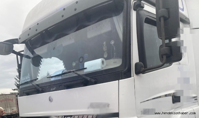Hendek'te TIR şoförü aracında ölü bulundu
