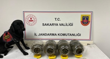 Sakarya Jandarmadan uyuşturucu ve aranan şahıslara yönelik operasyon
