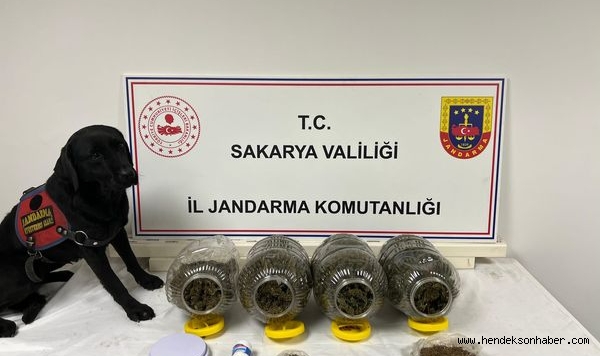 Sakarya Jandarmadan uyuşturucu ve aranan şahıslara yönelik operasyon