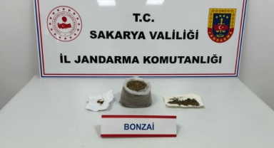 Hendek'te jandarmadan uyuşturucu operasyonu: 1 tutuklama