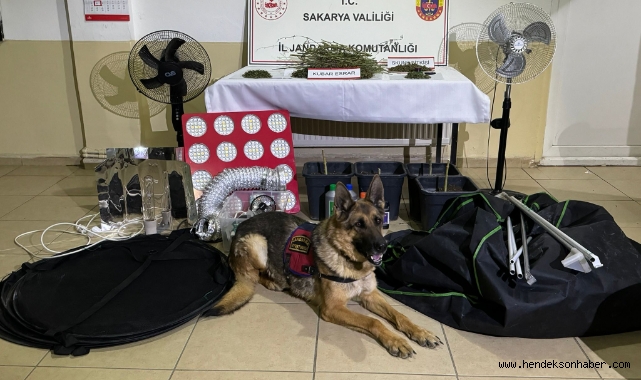 iklimlendirme sistemiyle kenevir yetiştirenlere operasyon