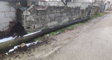 Millet Gitti Aya Biz Kaldık Yaya  Koskoca Mahalleyi İnternetsiz Bıraktılar