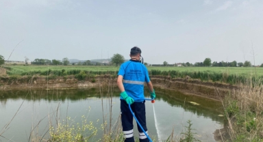 Büyükşehir ekipleri haşere ve vektörlere karşı etkin mücadele yürütüyor