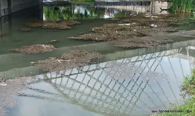 Beyler Açın Gözlerinizi Hendek Uludere Çayı SOS Veriyor Farkındamısınız ?