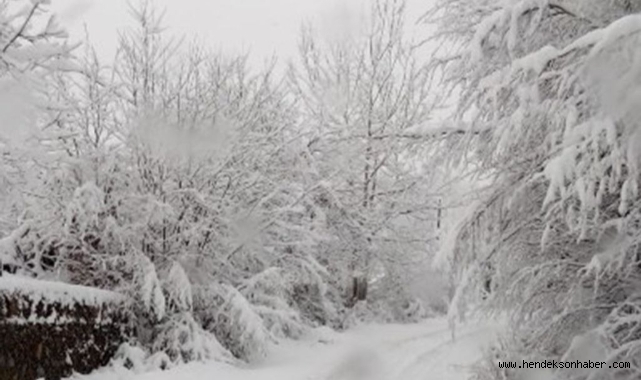 Dikkat zirai don uyarısı