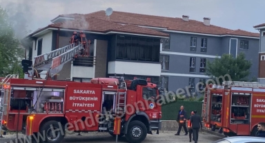 Hendek'te Alevli Gün