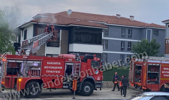 Hendek'te Alevli Gün