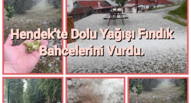 Hendek'te Dolu Yağış Fındık Bahçelerini Vurdu