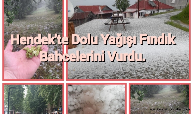 Hendek'te Dolu Yağış Fındık Bahçelerini Vurdu