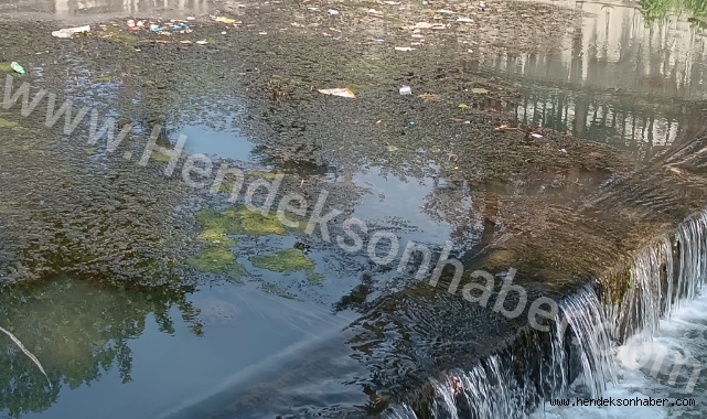 HENDEK ULUDERE ÇAYI CAN ÇEKİŞİYOR ?