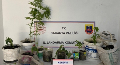 Bayram Öncesi jandarmadan kaçakçılık ve uyuşturucu operasyonu