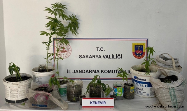 Bayram Öncesi jandarmadan kaçakçılık ve uyuşturucu operasyonu