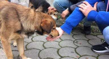 Başkan Bayraktar her canlının yaşam hakkı vardır