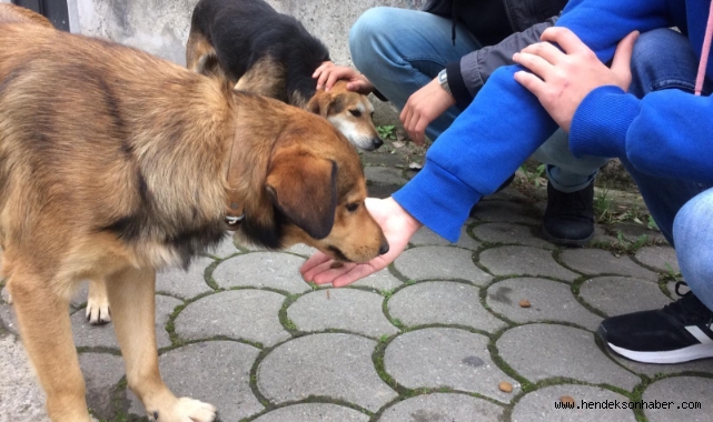 Başkan Bayraktar her canlının yaşam hakkı vardır