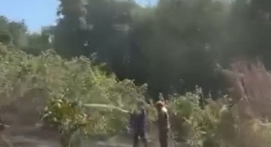 Hendek’te Fındık Bahçesinde Yangın