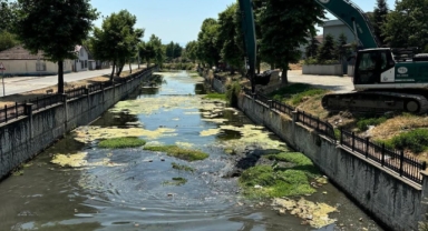 Hendek Uludere Çayında Temizlik Harekatı