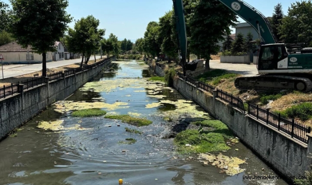Hendek Uludere Çayında Temizlik Harekatı