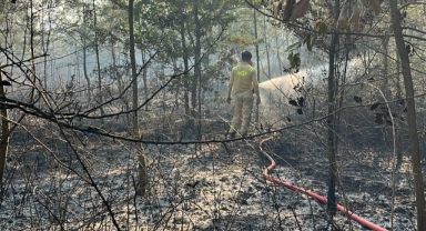Hendek Uzuncaorman'da Orman Yangını