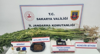 Hendek ve Akyazı’da Jandarma zehir tacirleri ve kaçakçılara göz açtırmadı