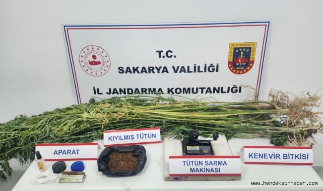 Hendek ve Akyazı’da Jandarma zehir tacirleri ve kaçakçılara göz açtırmadı