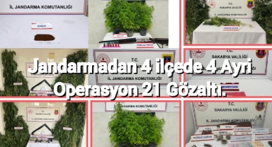 Jandarmadan 4 ilçede 4 ayrı operasyon: 21 gözaltı